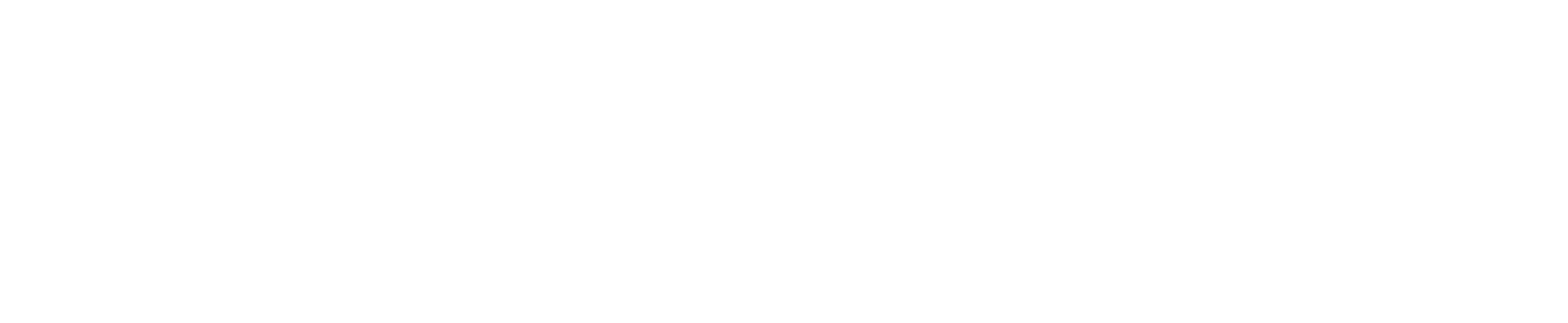 NAIS Technologies